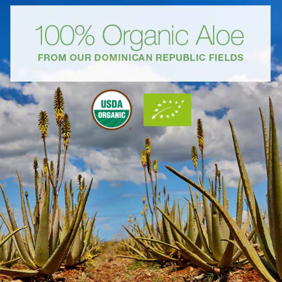 100_percent_Organic_Aloe_from_DominicanRepublicFields